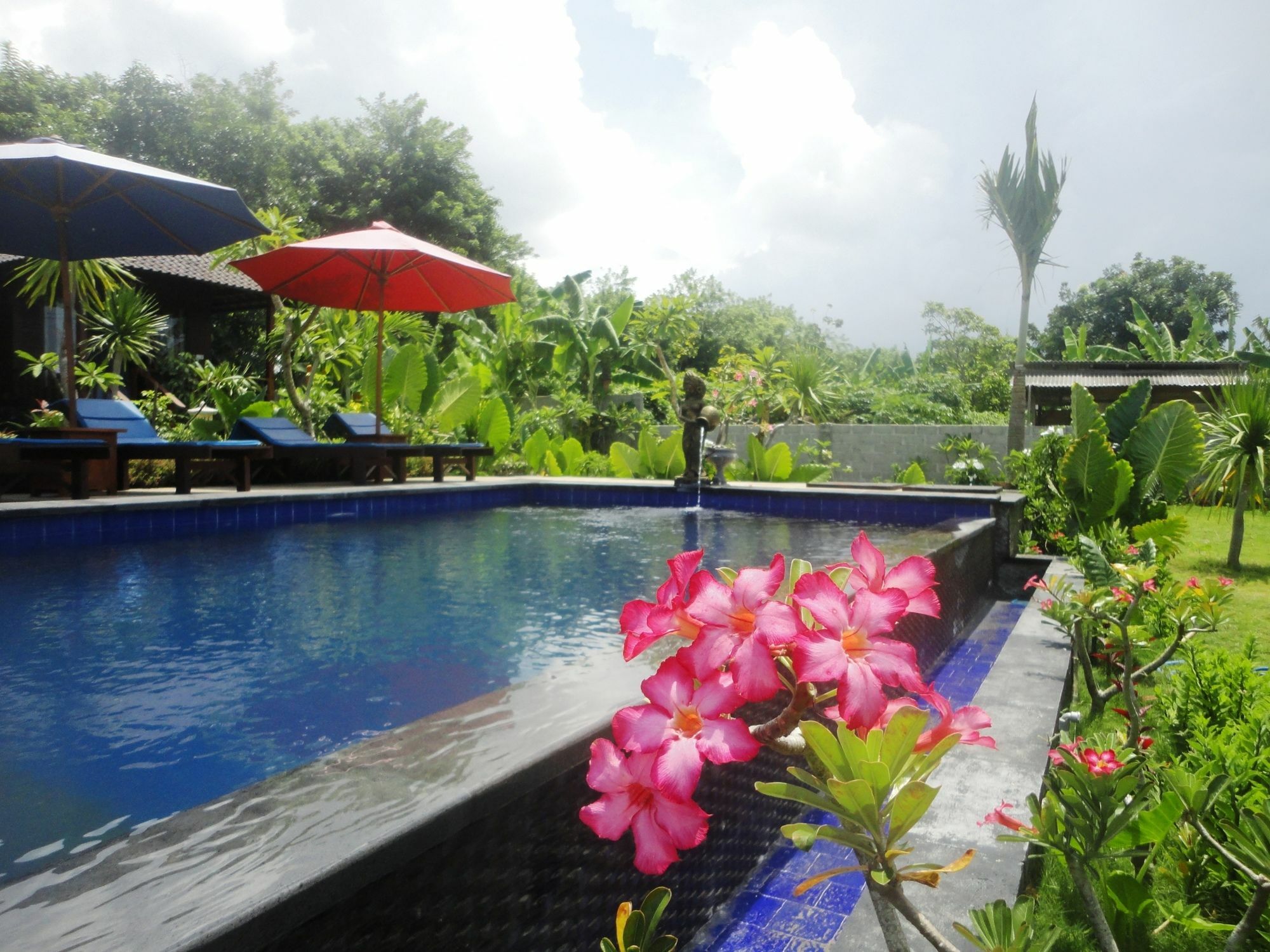 Dream Beach Berlian นูซาเลมโบงัน ภายนอก รูปภาพ