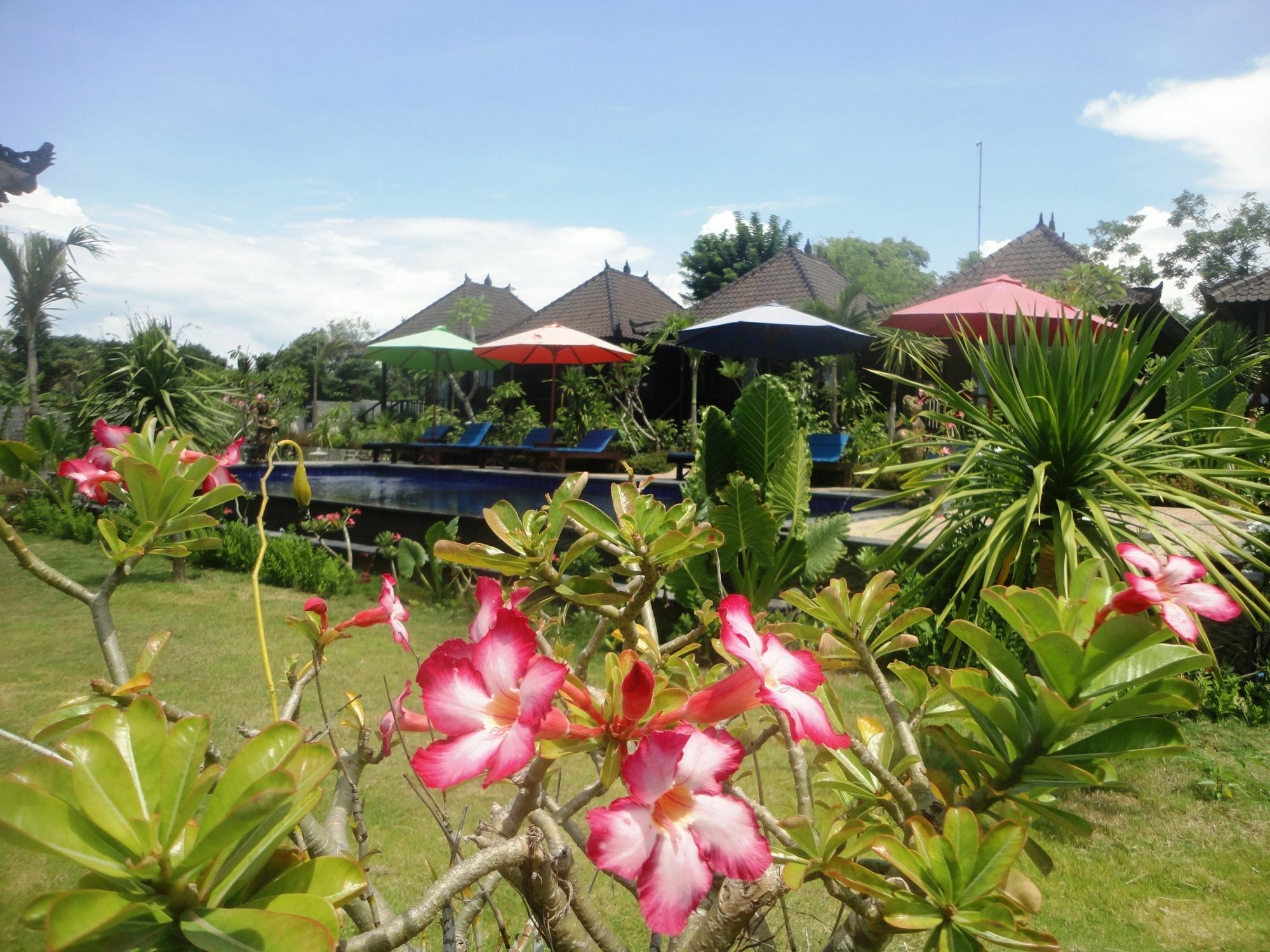 Dream Beach Berlian นูซาเลมโบงัน ภายนอก รูปภาพ